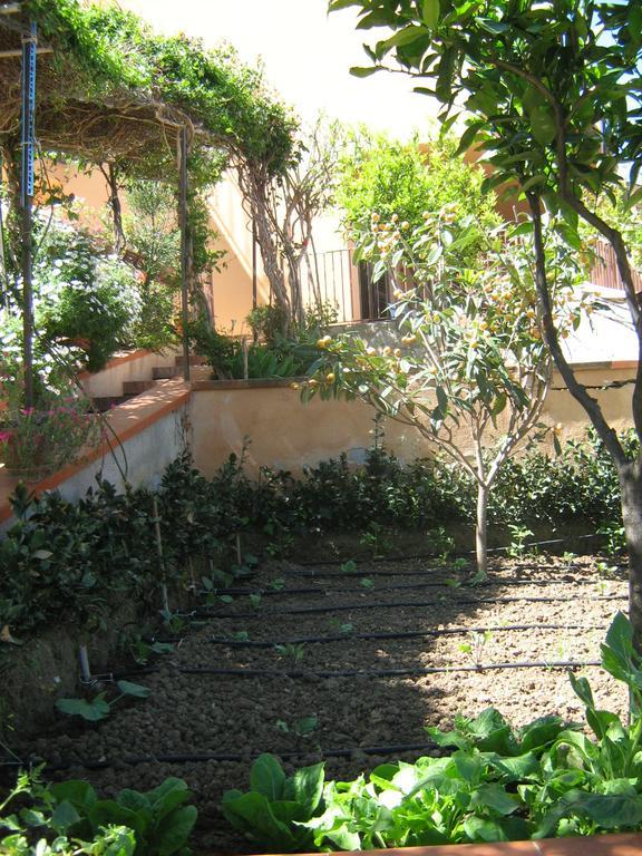 Terrazza Mimosa Apartment Cefalu Exterior photo